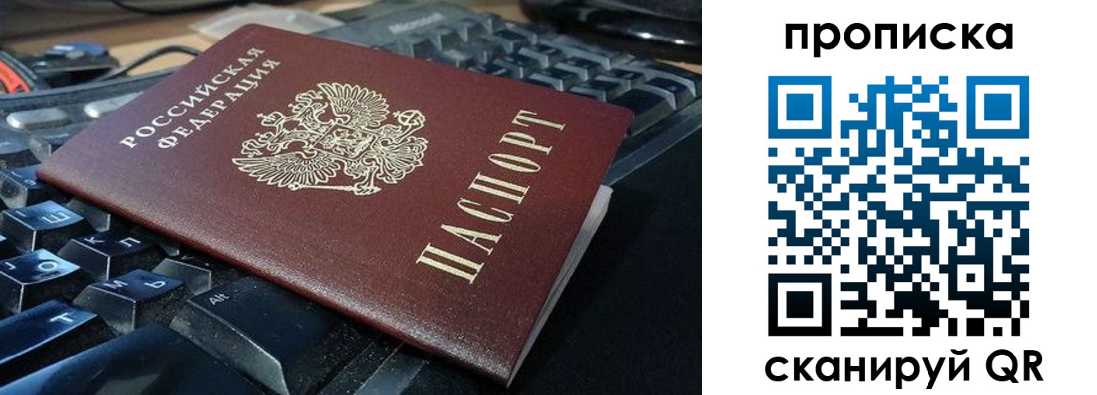 прописка иностранных граждан в Кировске